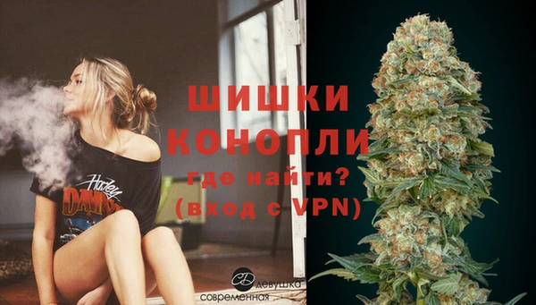 spice Балахна